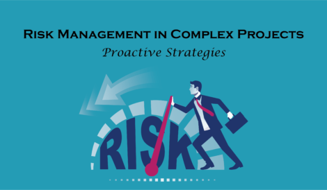 Risk Management in Complex Projects