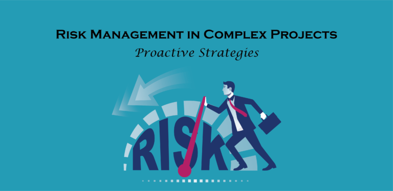 Risk Management in Complex Projects